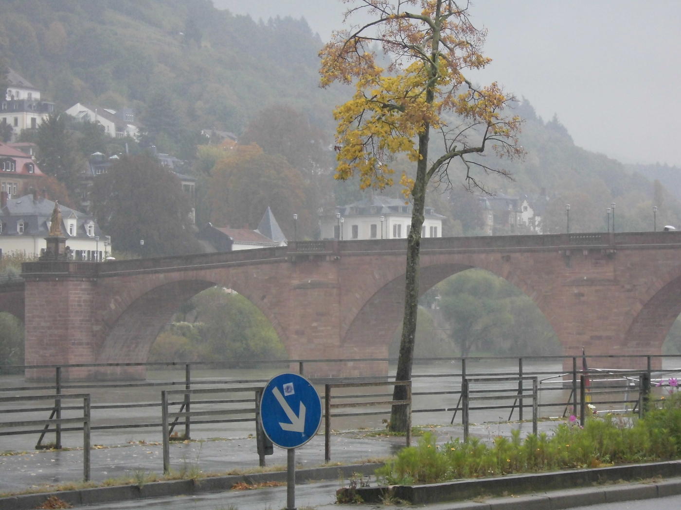 Keine Zeugen Jehovas in Heidelberg