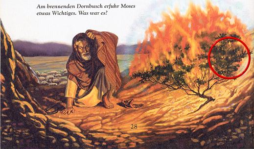 Totenkopf im brennenden Dornbusch