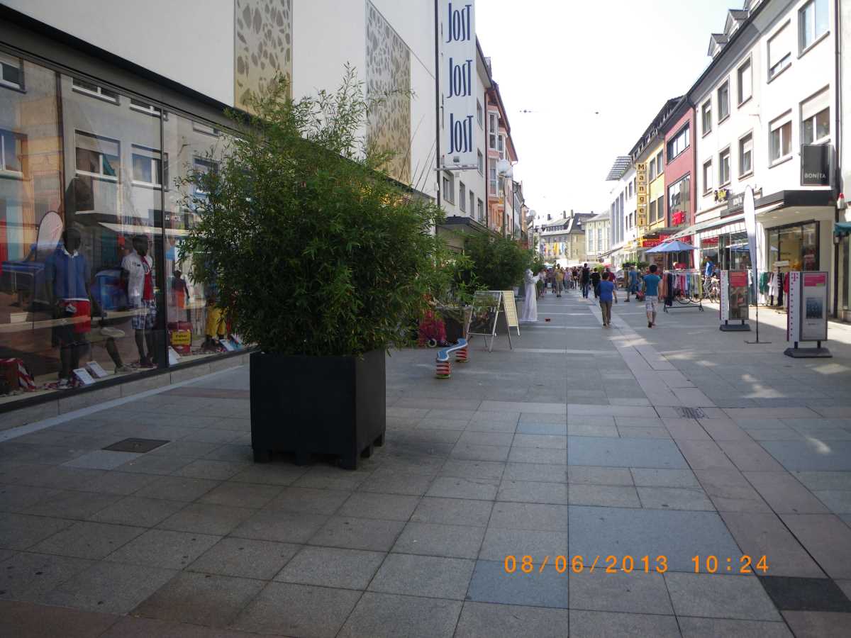 Jehovah's Witnesses in Bruchsal: peaceful and civilized
