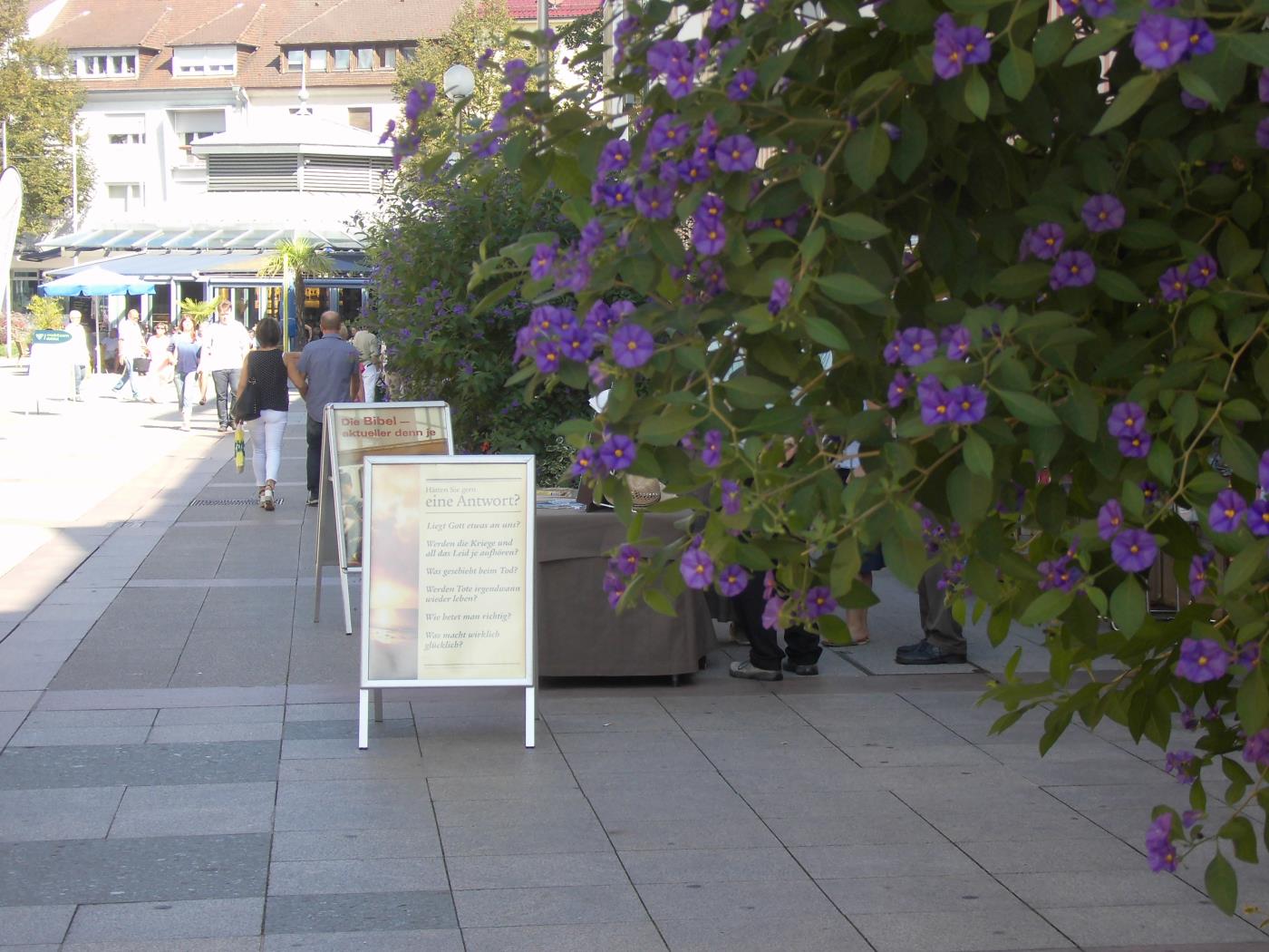 Jehovah's Witnesses in Bruchsal: Meaningless, More Meaningless, Most Meaningless