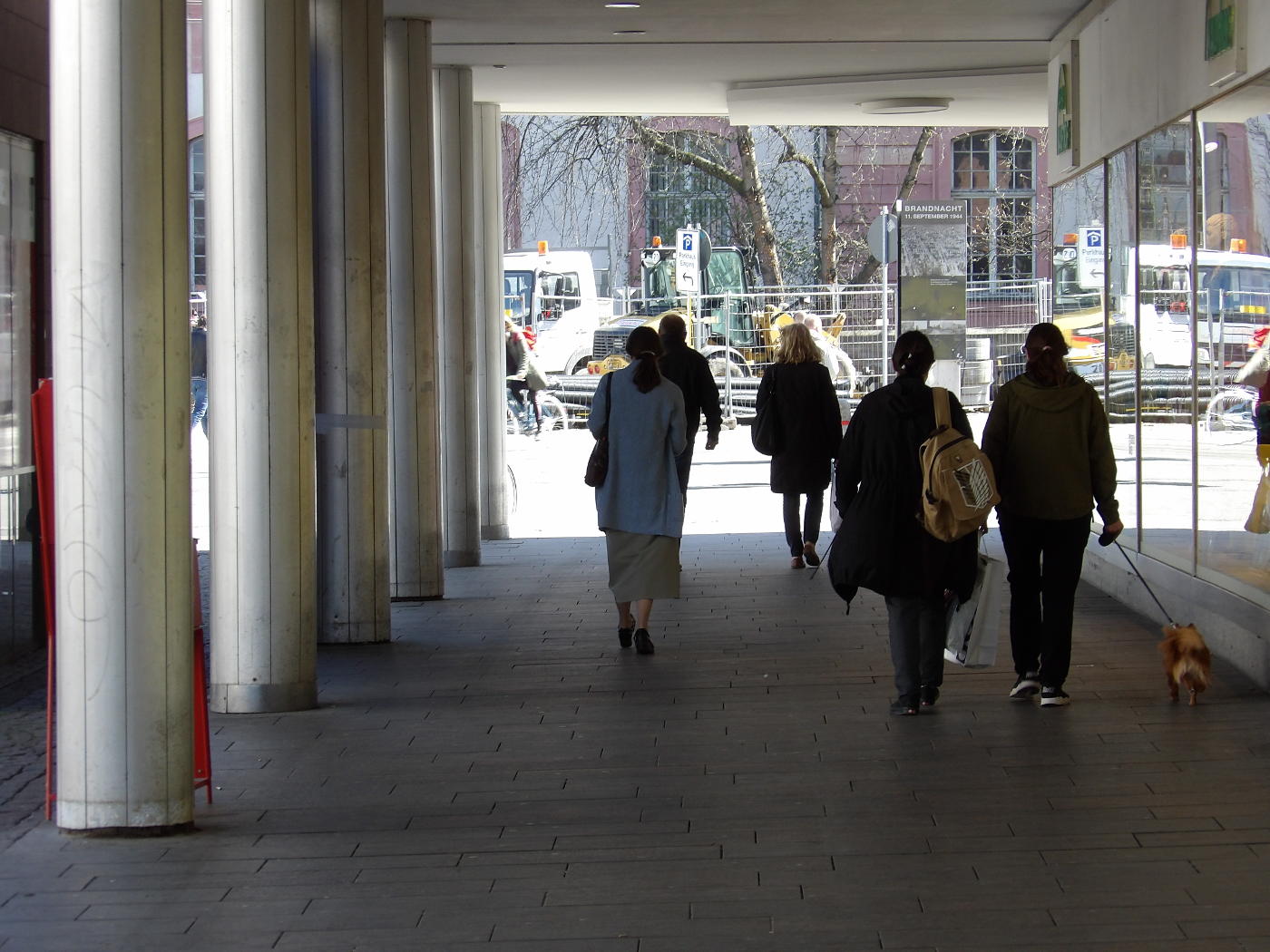 Darmstadt, the City of Mixed Population – Jehovah's Witnesses work on it internationally