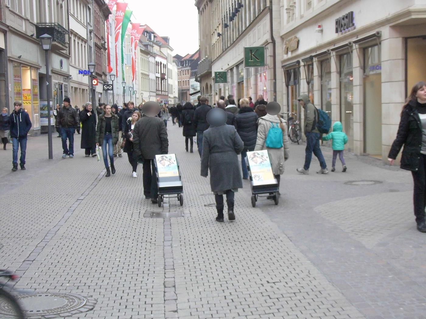 Heidelberg – Jehovah's Witnesses Fulfilling Their Duties