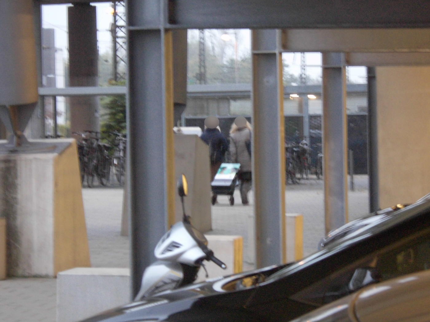 Wiesloch: Jehovah's Witnesses and their snitch frustration