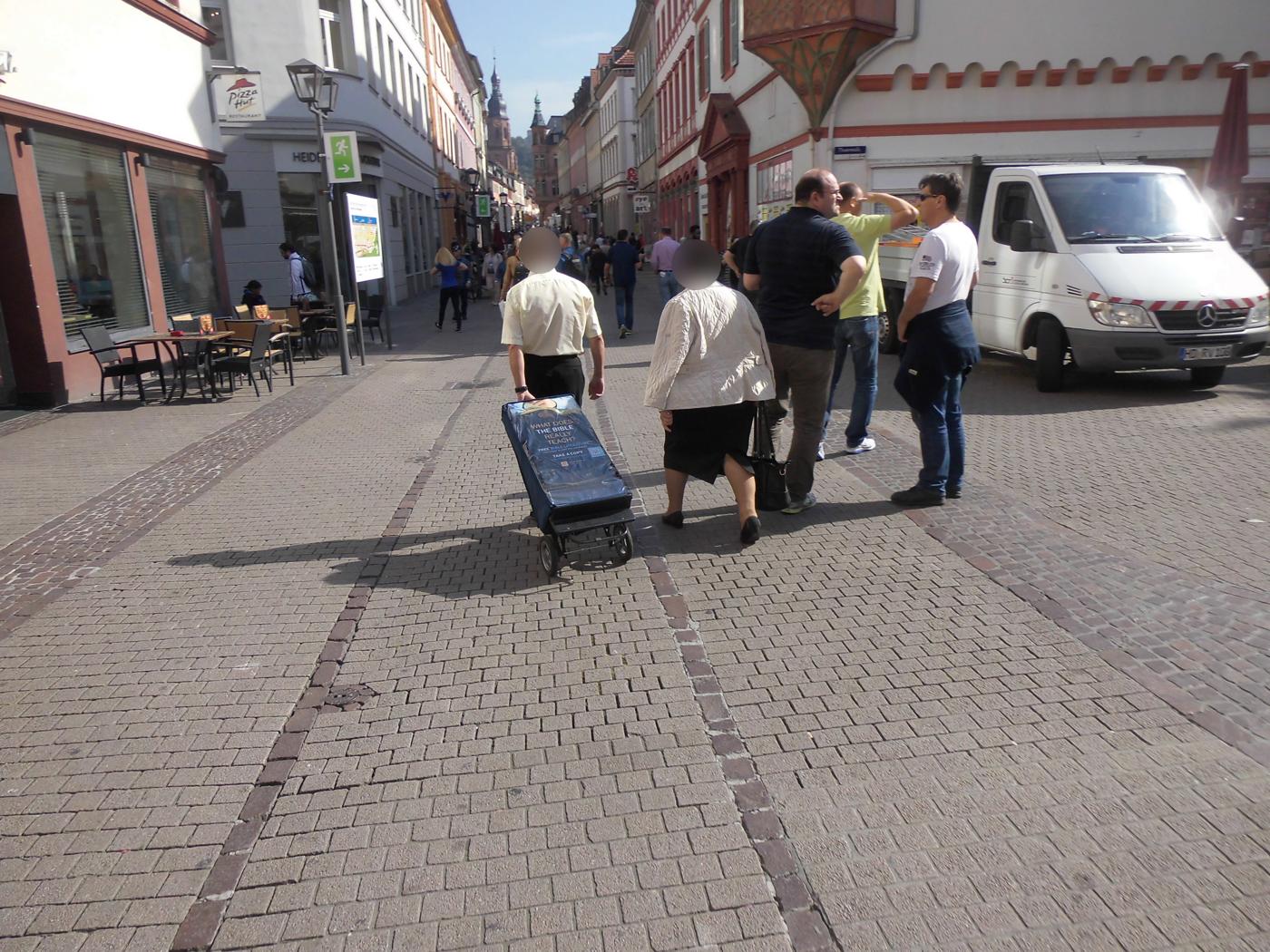 Jehovah's Witnesses in Wiesloch Shy Deer – Collegial in Heidelberg