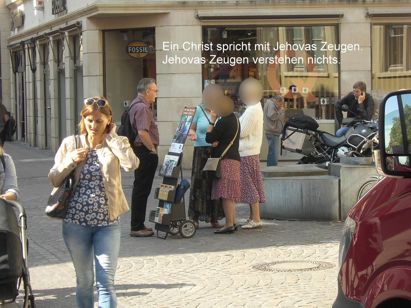 Jehovah's Witnesses in Wiesloch Shy Deer – Collegial in Heidelberg