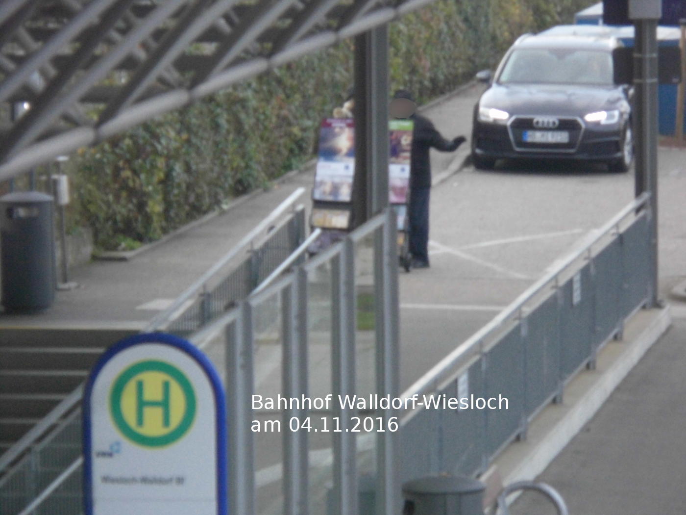 Hare and hedgehog at Walldorf-Wiesloch railway station